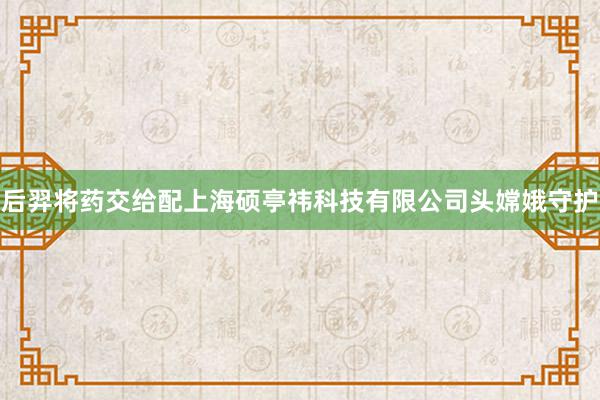后羿将药交给配上海硕亭祎科技有限公司头嫦娥守护