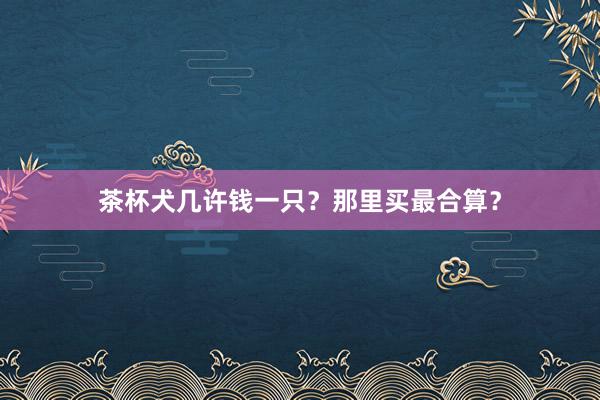 茶杯犬几许钱一只？那里买最合算？