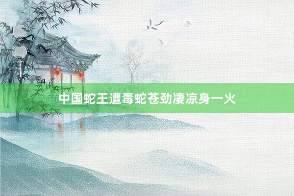 中国蛇王遭毒蛇苍劲凄凉身一火