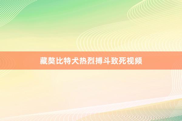 藏獒比特犬热烈搏斗致死视频