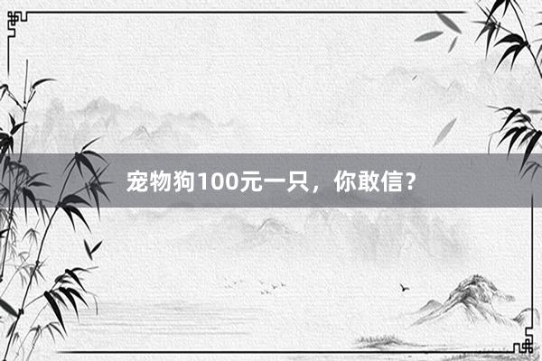 宠物狗100元一只，你敢信？