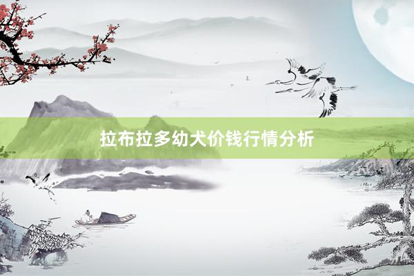 拉布拉多幼犬价钱行情分析
