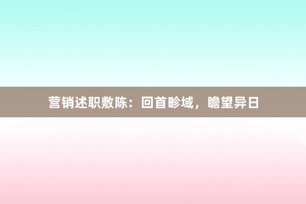 营销述职敷陈：回首畛域，瞻望异日